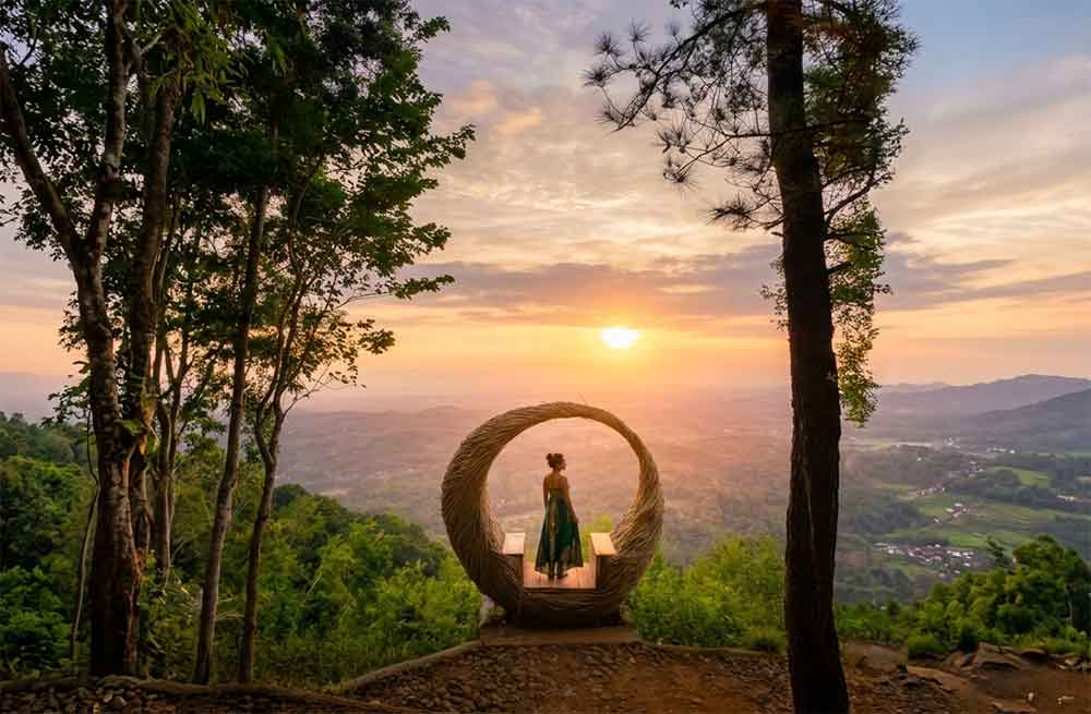 Puncak Pinus Becici